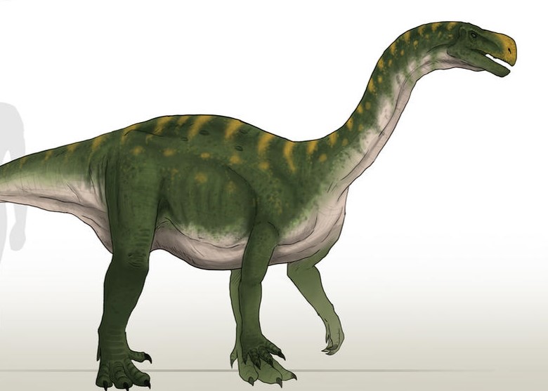 image of Aardonyx