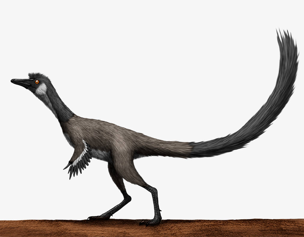 image of Alvarezsaurus