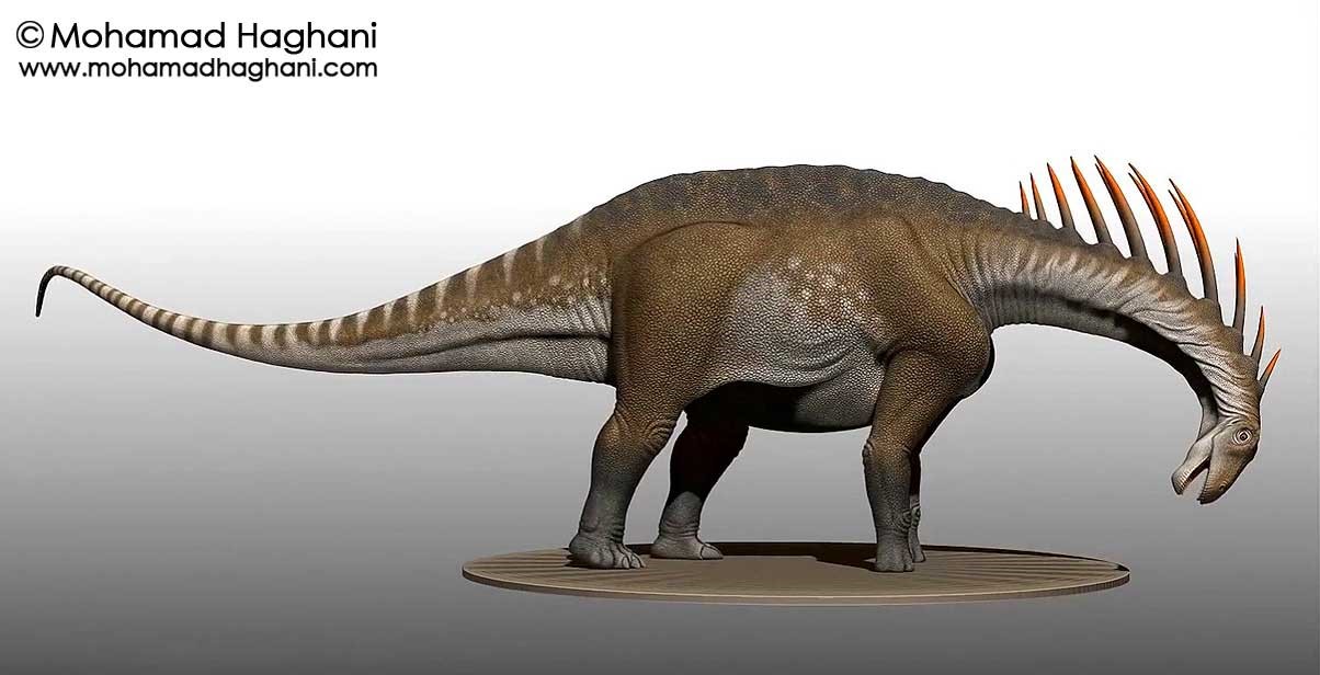 image of Amargasaurus