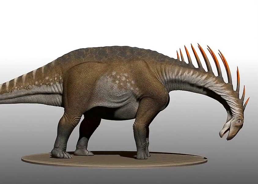 image of Amargasaurus